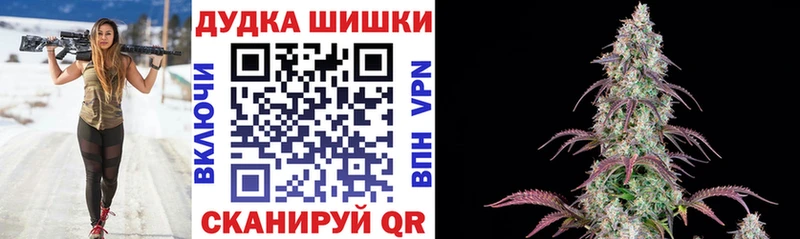 Бошки марихуана Amnesia  купить  сайты  Волхов 